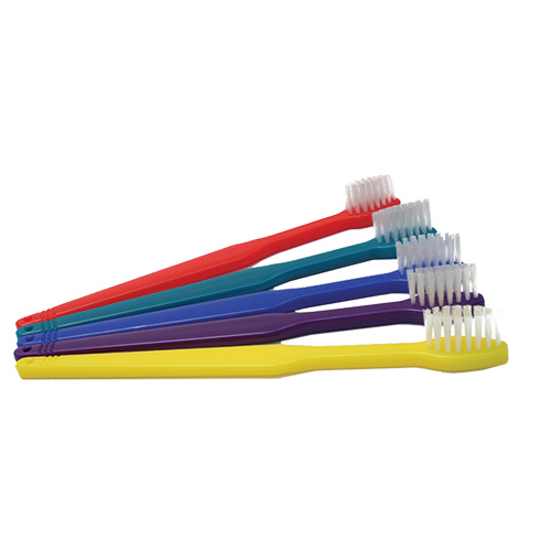 disposable toothbrush