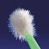 MICROBRUSH DISPOSABLE APPLICATORS - - alt view 1