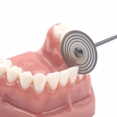DYNAFLEX ORTHO STRIPPING DISC