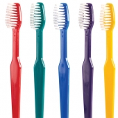 DYNAFLEX TOOTHBRUSHES W/ PASTE