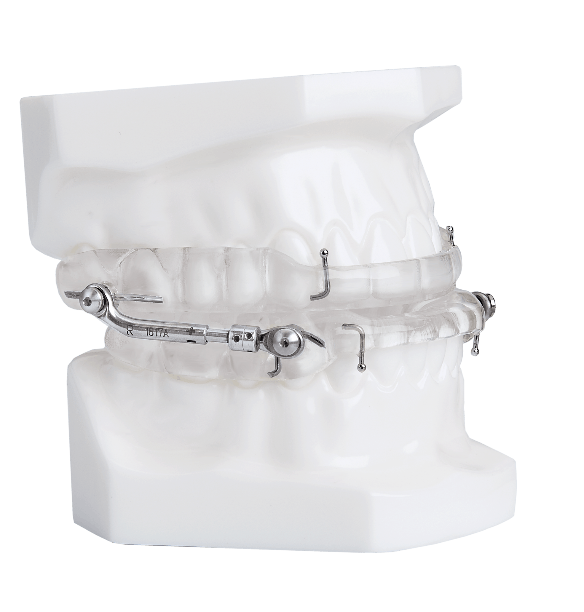 Dorsal sleep appliance